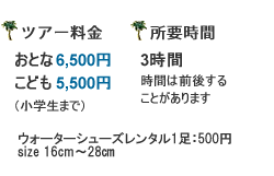 石垣島のマングローブと海のカヤック（カヌー）半日体験ツアー料金