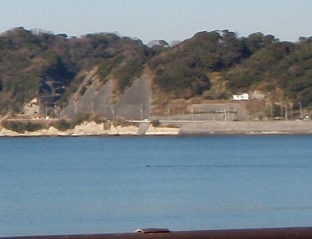 石垣島&西表島　で　楽園探し