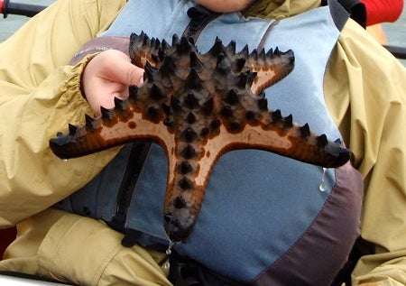 石垣島&西表島　で　楽園探し