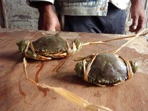 石垣島&西表島 で 楽園探し