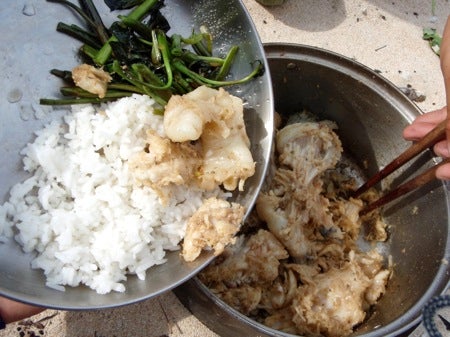 石垣島&西表島 で 楽園探し