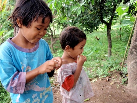 石垣島&西表島 で 楽園探し