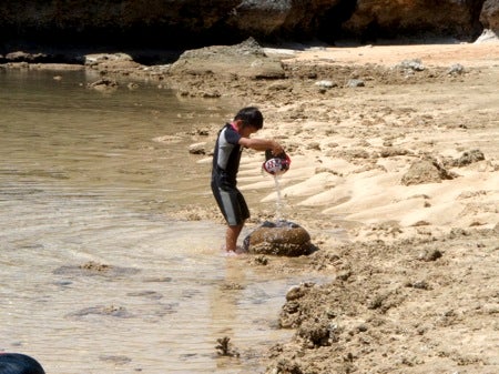石垣島&西表島　で　楽園探し
