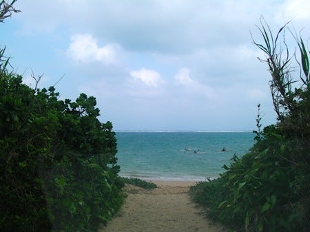 石垣島&西表島 で 楽園探し