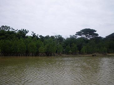 石垣島&amp;西表島で楽園探し