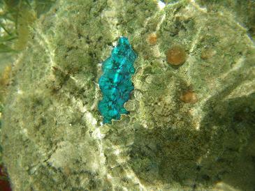 石垣島&amp;西表島で楽園探し