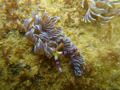 石垣島&amp;西表島で楽園探し