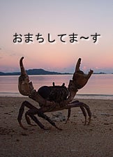 石垣島&西表島で楽園探し