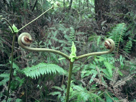 石垣島&西表島で楽園探し