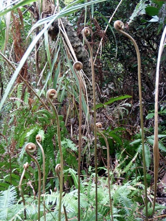 石垣島&西表島で楽園探し