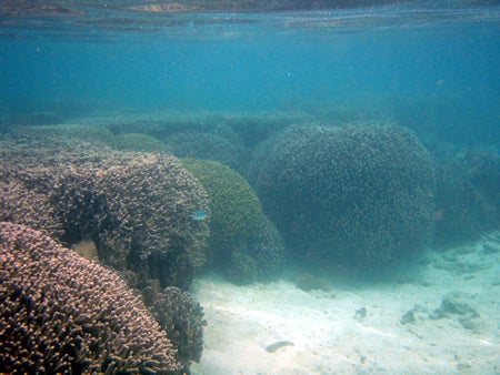 石垣島&西表島で楽園探し