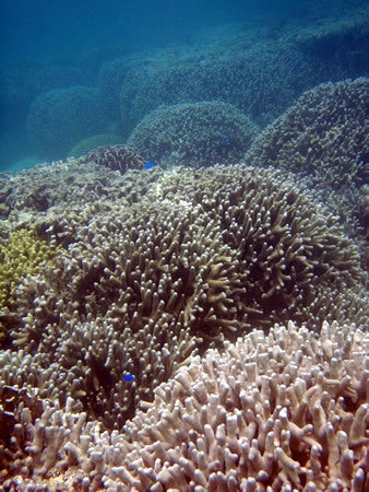 石垣島&西表島で楽園探し