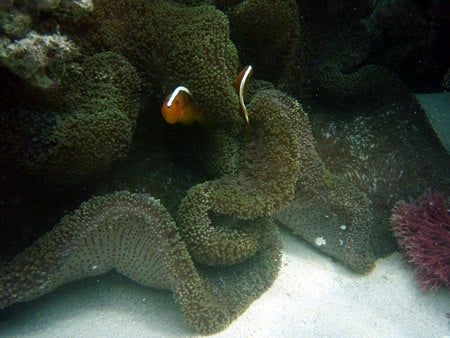 石垣島&西表島で楽園探し