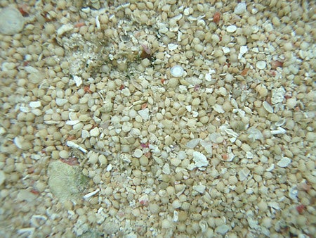 石垣島&西表島で楽園探し