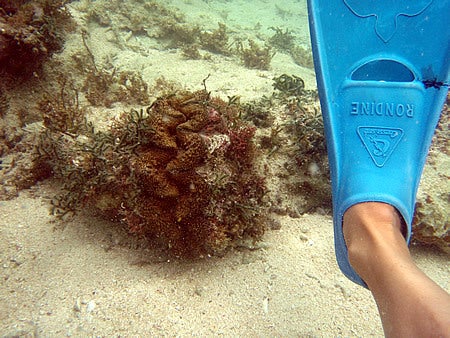 石垣島&西表島で楽園探し