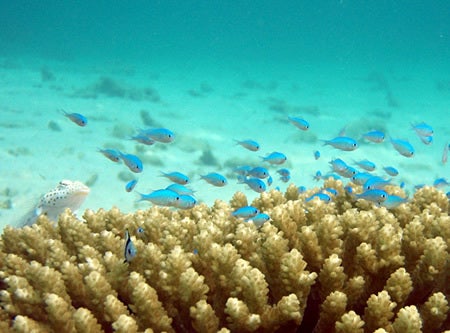 石垣島&西表島で楽園探し