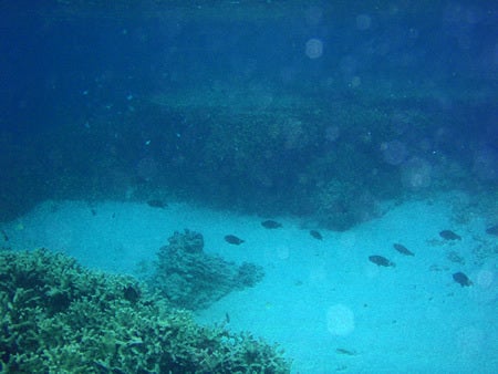 石垣島&西表島で楽園探し