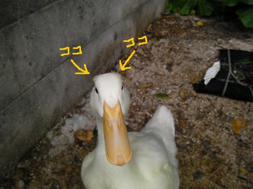 石垣島&西表島で楽園探し