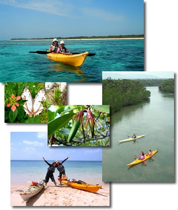 手漕屋素潜店 ちゅらねしあ