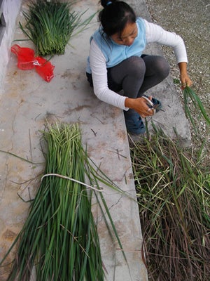 手漕屋素潜店 ちゅらねしあ
