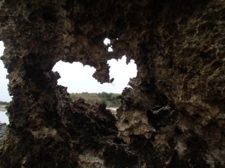 $手漕屋素潜店 ちゅらねしあ