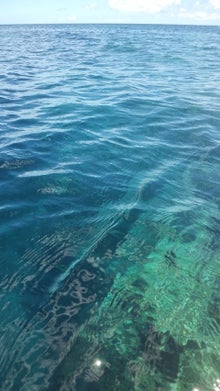 手漕屋素潜店 ちゅらねしあ-120703_1156~02.jpg