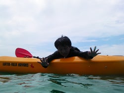 手漕屋素潜店 ちゅらねしあ