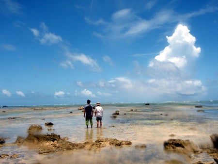 手漕屋素潜店 ちゅらねしあ