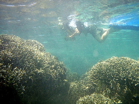 手漕屋素潜店 ちゅらねしあ