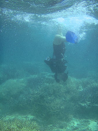 手漕屋素潜店 ちゅらねしあ