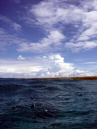 手漕屋素潜店 ちゅらねしあ