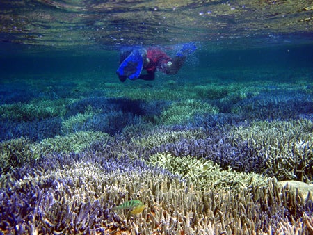 手漕屋素潜店 ちゅらねしあ