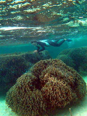 手漕屋素潜店 ちゅらねしあ