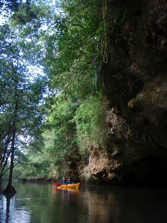 手漕屋素潜店 ちゅらねしあ