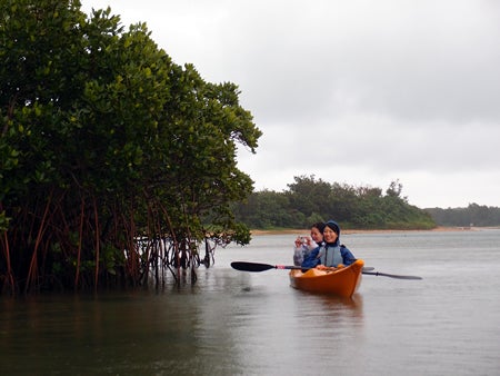 手漕屋素潜店 ちゅらねしあ