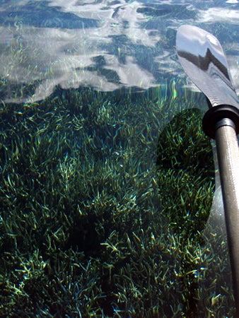 手漕屋素潜店 ちゅらねしあ