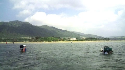 手漕屋素潜店 ちゅらねしあ