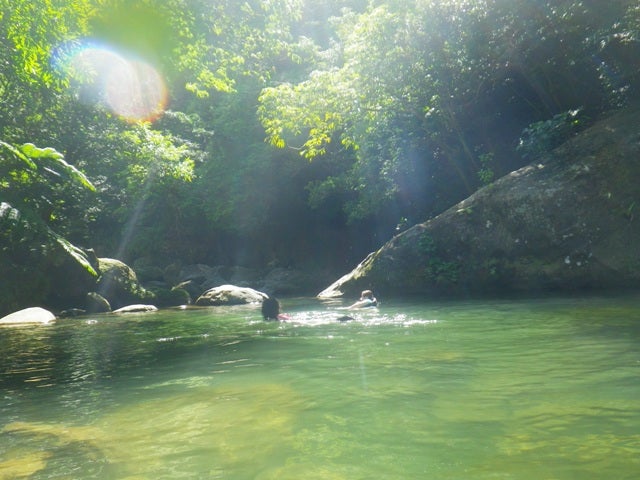 手漕屋素潜店 ちゅらねしあ