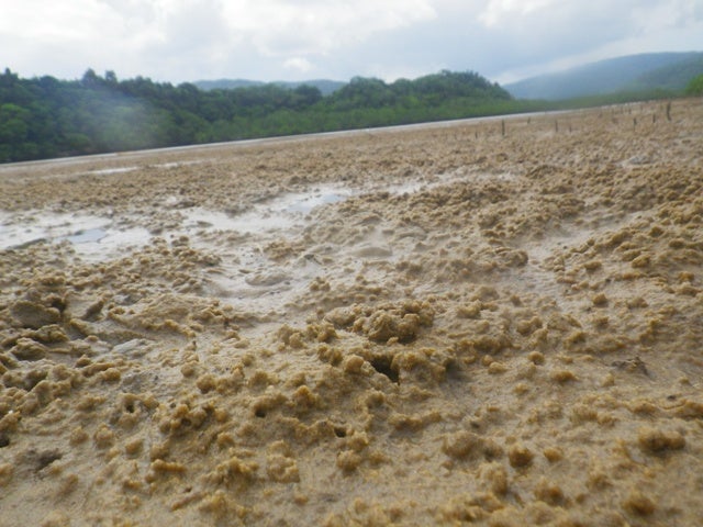 手漕屋素潜店 ちゅらねしあ