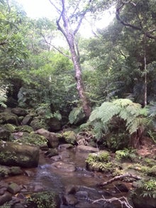 手漕屋素潜店 ちゅらねしあ