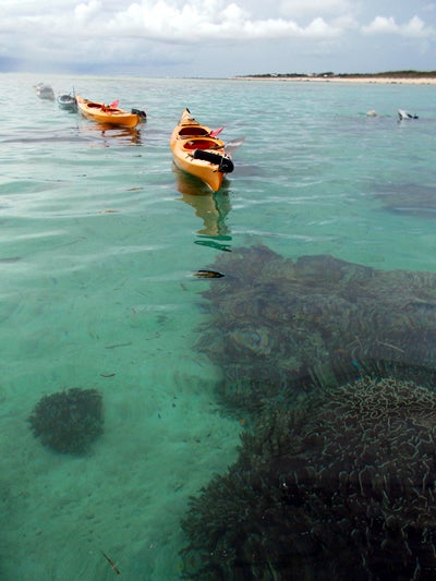 手漕屋素潜店 ちゅらねしあ
