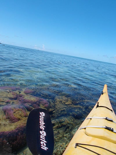 手漕屋素潜店 ちゅらねしあ