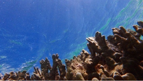 {27F3AFE4-6E75-430D-A2C5-D3441A398912:01}