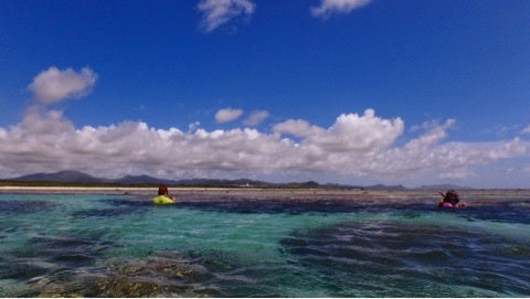 {AC9731D6-BD72-4305-BB07-6388ADA44A1A:01}