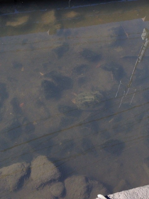 {B28523F0-00C0-4EB4-A65E-FDC039E90DFD:01}