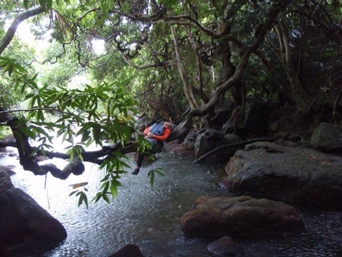 {AD887F3F-293C-4D1B-AA5C-32A3DF346420:01}