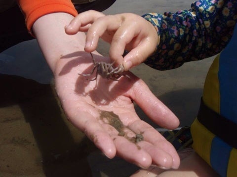 {7AB8F2AD-C2AC-4EFC-BDC9-DCD37FDE57C7:01}