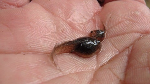 {C79A23DE-7578-410F-B154-5D354D179D26:01}