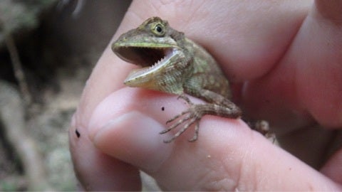 {732182D9-4F0E-4C2B-B1BF-6760BF340C48:01}