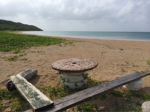 {10208CD1-BA28-4ACB-A865-E4D7304C2163:01}